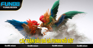 Các trận đấu đá gà Fun88 nổi bật